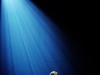 ts_live_lbyrnes_7.jpg