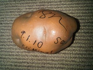 Tegan and Sara autographed potato shaker!