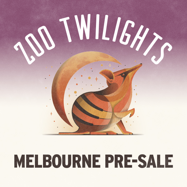 Melbourne Pre-sale social tile