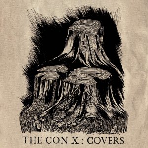 Image result for the con x covers